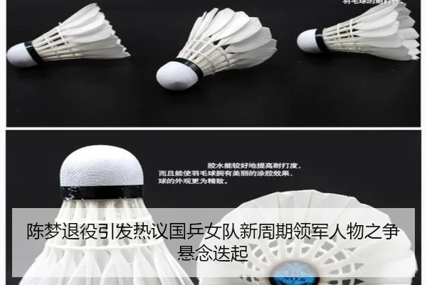 陈梦退役引发热议国乒女队新周期领军人物之争悬念迭起